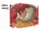 http://www.gastroendoskopi.com/mynet_resimlerim/safra%20kesesi.jpg